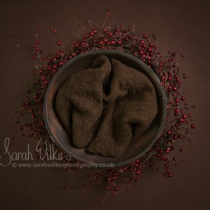 Newborn Digital Backdrop Simple Christmas Berry Bowl