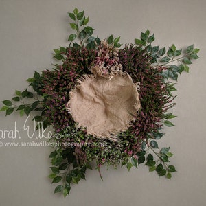 Newborn Digital Backdrop - Heather Nest Star