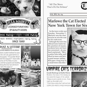 May include: A monochrome newspaper-style print with cat-related headlines and illustrations. Includes a cat wearing glasses and a tie, and text that reads "Flea Market" and "Marlowe the Cat Elected New York Town for Six".