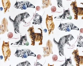 Cat Fabric - Cuddle® Minky Catnip Shannon Fabrics (dccatnipmulti) - Sold by the YARD