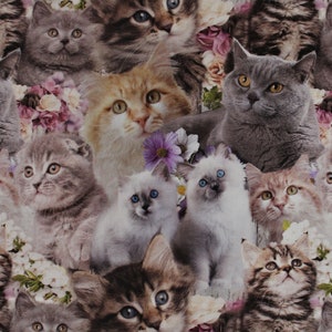 Cat Fabric - Cute Kittens Kennard & Kennard (0123-D) - Sold by the Yard