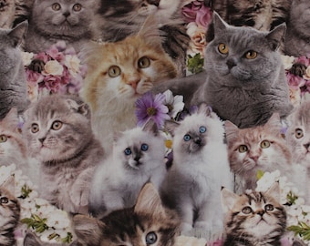 Cat Fabric - Cute Kittens Kennard & Kennard (0123-D) - Sold by the Yard