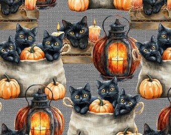 Cat Fabric - Halloween Black Cats Multi David Textiles (DX-8722-6C-1) - Sold by the Yard