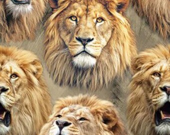 Cat Fabric - Mascot Madness Lions Sykel (SYK10558-LIONS) - Sold by the Yard