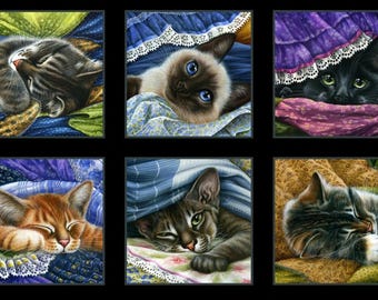 Cat Fabric - Catnap Block Panel Black Elizabeth's Studio (54001-Black) - Sold by the Panel