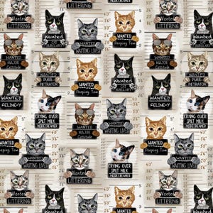 Cat Fabric - Quirky Cats Cat Mugshots Beige Timeless Treasures (CD3061-BEIGE) - Sold by the Yard