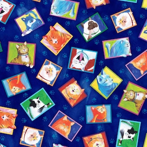 Katzen Stoff - Cat Chat Cat Rahmen Toss Blue Quilting Treasures (29528-N) - Verkauft lose Ware