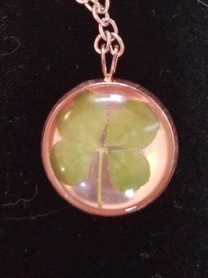 Real Four Leaf Clover Necklace - Etsy