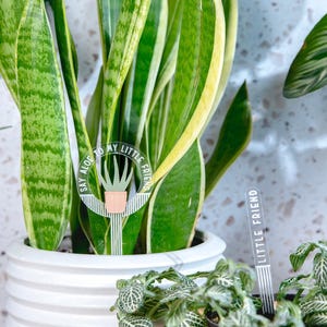 May include: Two potted plants with plant markers. The larger plant is a snake plant with green and yellow leaves. The smaller plant has green leaves with white veins. The plant markers are made of clear acrylic and have the text "Say Aloe to my little friend" and "Little Friend".