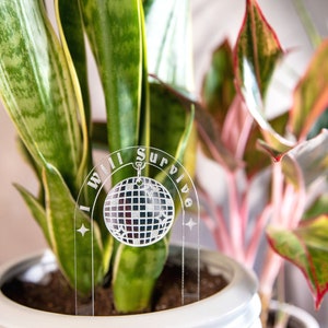 I Will Survive Acrylic Disco Plant Stake Original | Plant Charms | Gift For Plant Lover | Plant Accessories | Indoor Garden | Plant Bling
