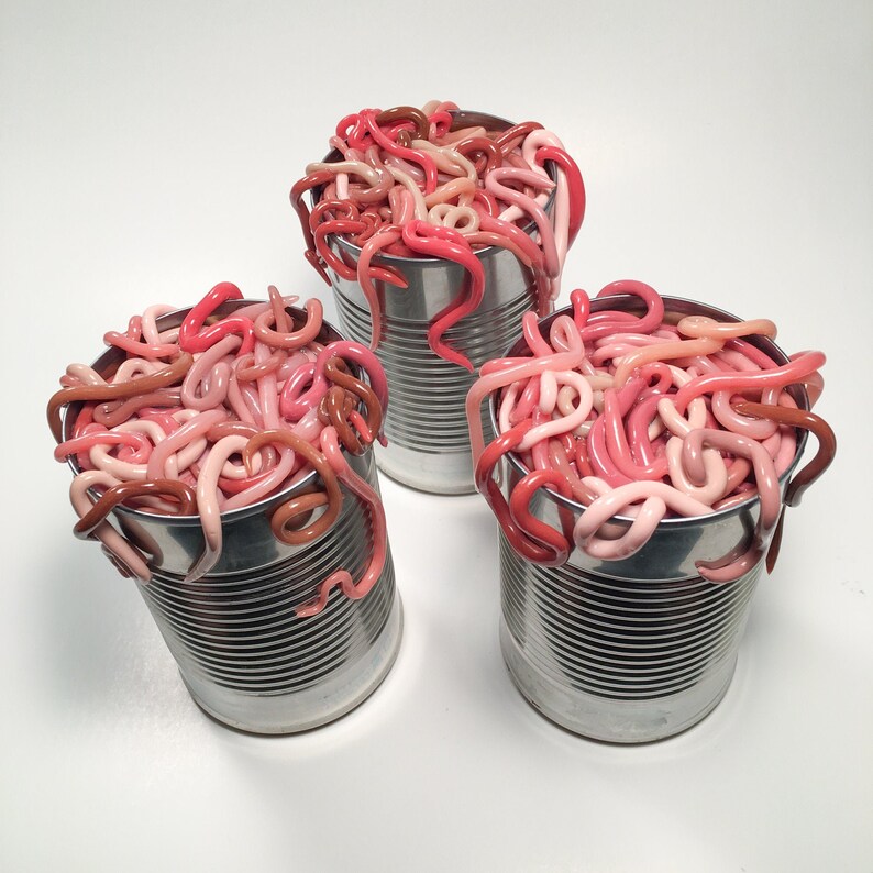 Can of worms. Идиома open a can of worms.