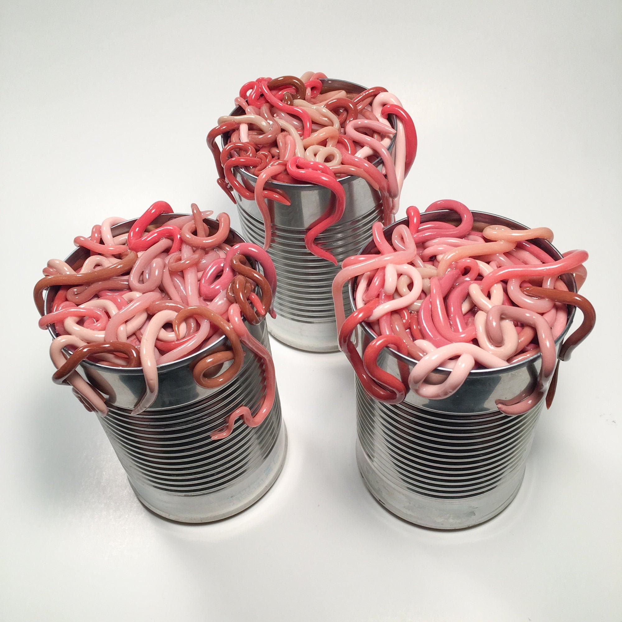 Can of Worms Realistic Worm Sculpture Ideal for Holiday Gift Etsy