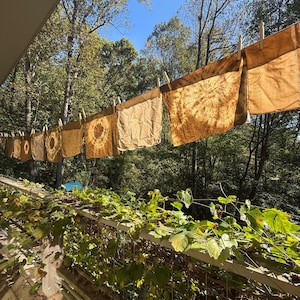 May include: A series of rectangular fabric pieces in various shades of tan and brown, featuring tie-dye spiral patterns and solid tones, are hung in a row on a clothesline with wooden clips, suspended outdoors against a backdrop of green trees.
