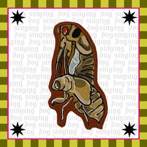 Pode incluir: Ilustração fantasiosa de uma criatura semelhante a uma pulga, em tons de castanho e bege, sobre um fundo com o texto repetido "singing dog". O design é emoldurado por uma borda rosa e um padrão de listras verdes e amarelas.