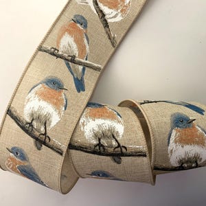 Chubby Birds Ribbon, 2 1/2" Wide, Wired Ribbon for Bows, Wreaths, Swags, Gift Baskets, Swags, Home Decor, Christmas Ribbon, 3 YARDS