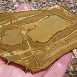 Owyhee Picture Jasper Slab  (100X60X6.5)