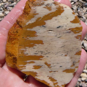 Owyhee Picture Jasper Slab  (70X60X7)