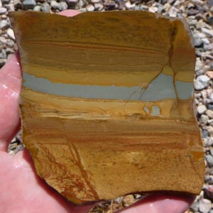 Owyhee Picture Jasper Slab  (80X80X5.5)