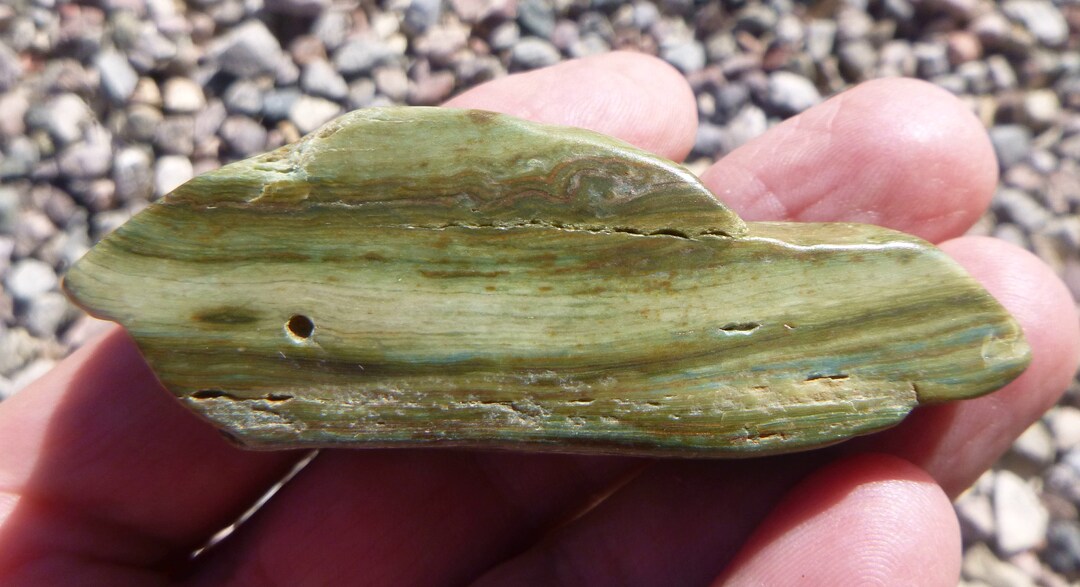 Larsonite Jasper Tumble Polished Display Specimen 70X20X20 Etsy