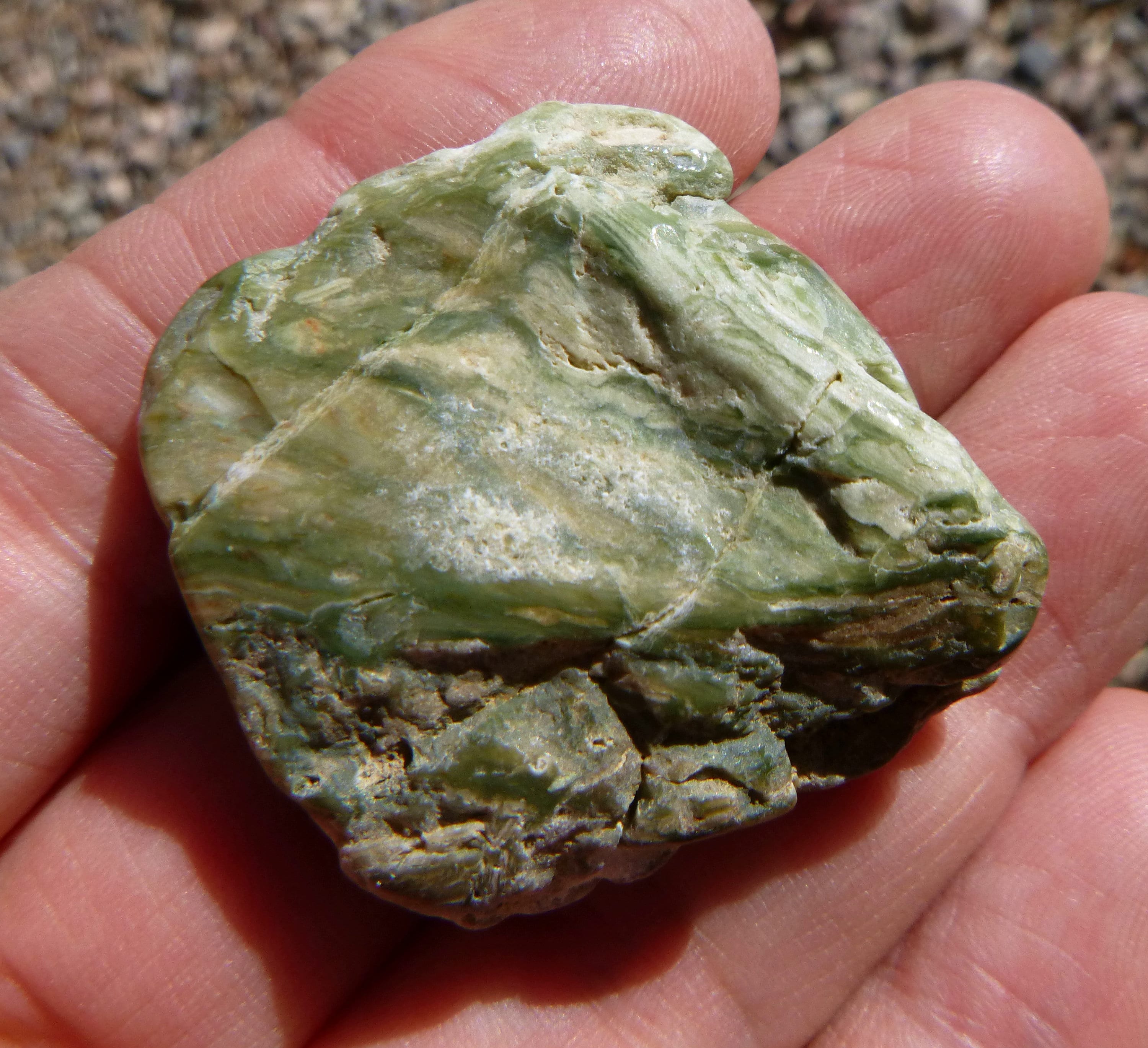 Larsonite Jasper Tumble Polished Display Specimen 35X35X10 Etsy