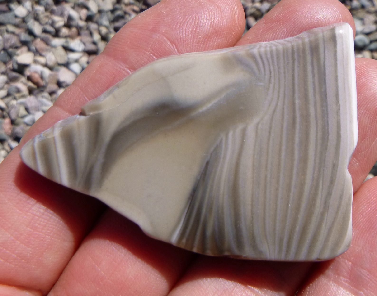 Polish Flint Tumble Polished Display Specimen 50X30X6.5 Etsy