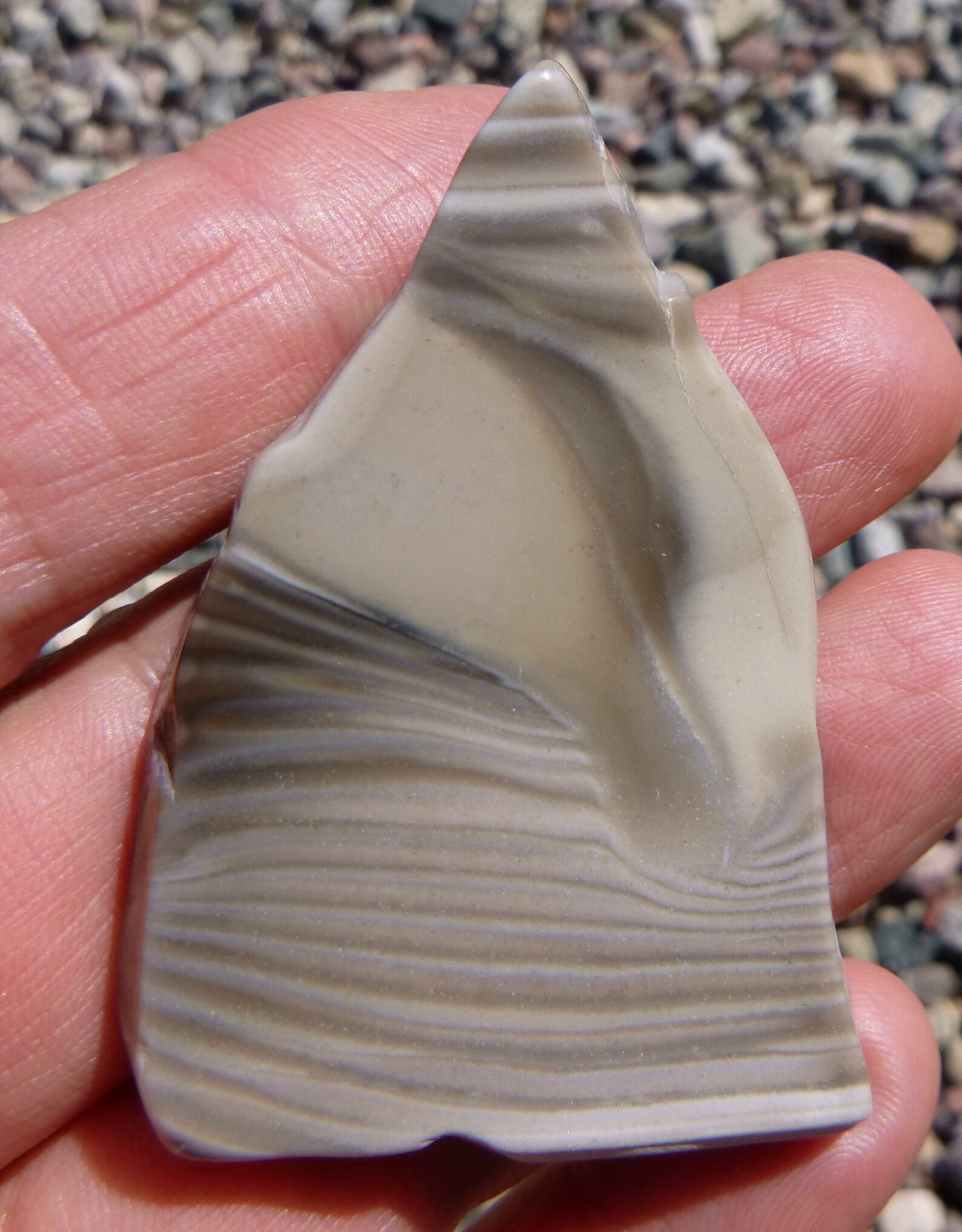 Polish Flint Tumble Polished Display Specimen 50X30X6.5 Etsy