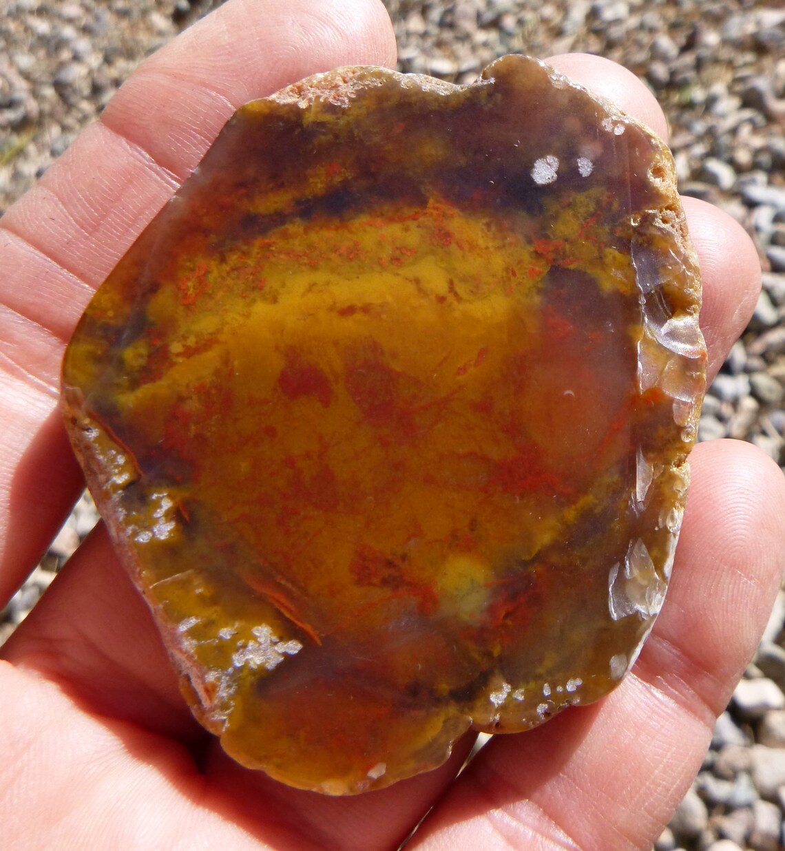 Red & Yellow Moss Agate Tumble Polished Display Specimen | Etsy