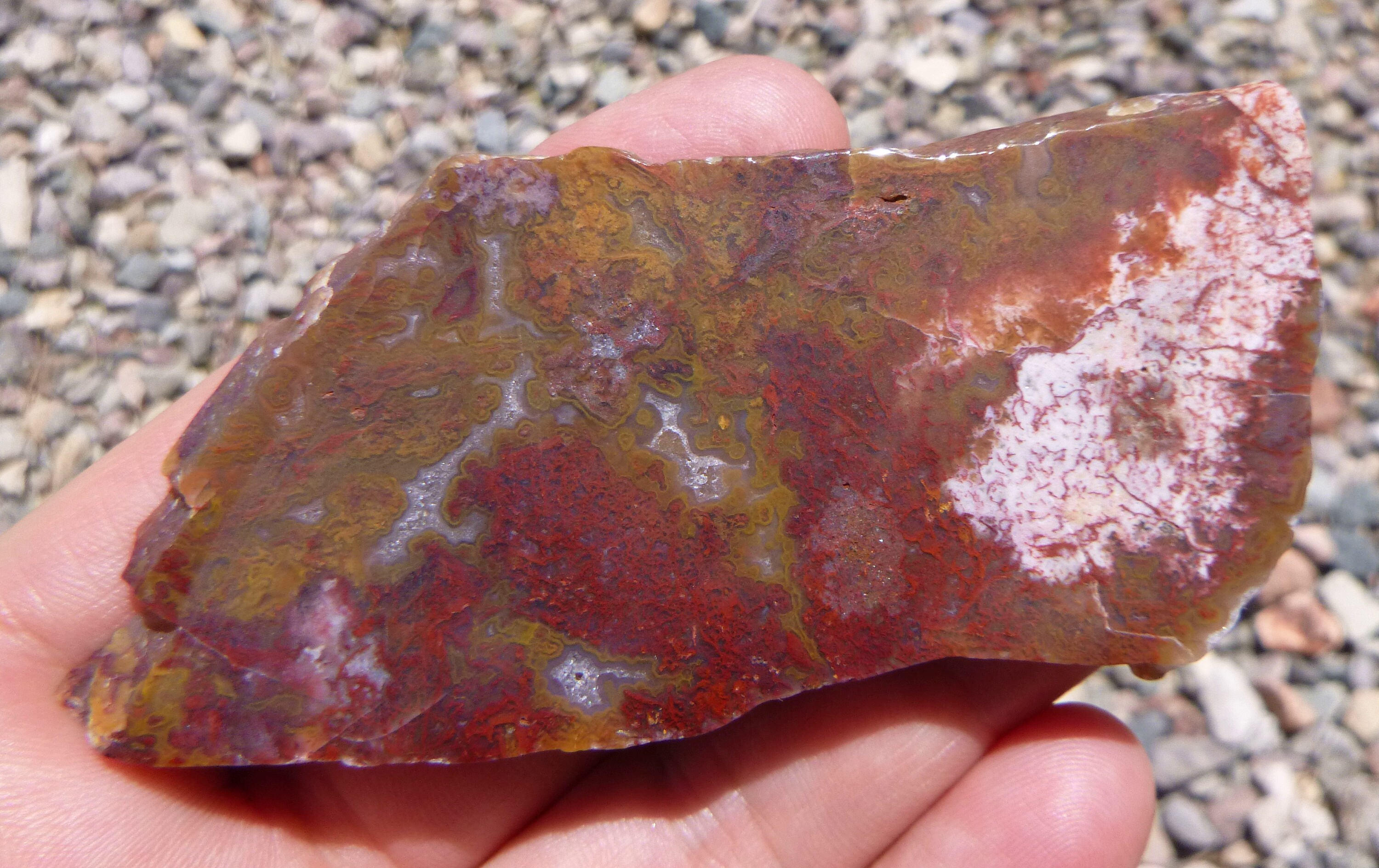 Red & Yellow Moss Agate Tumble Polished Display Specimen | Etsy