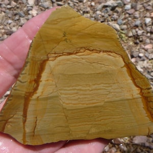 Owyhee Picture Jasper Slab  (80X60X6.5)