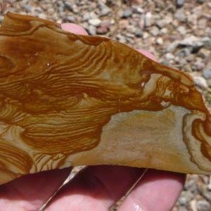 Owyhee Picture Jasper Slab  (100X50X7.5)