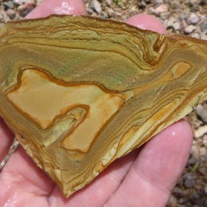 Owyhee Picture Jasper Slab  (70X55X6.5)