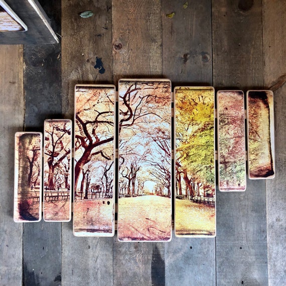 Central park 38x24 inches