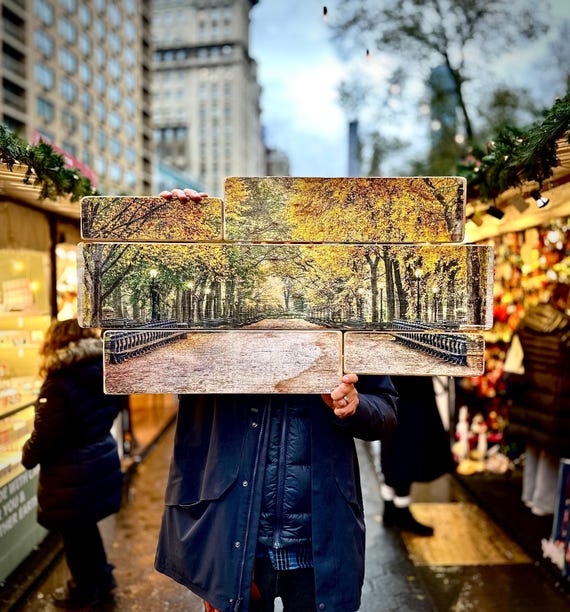 Handcrafted Central Park Wood Photography Print - New York City Landscape (38x24 inches)