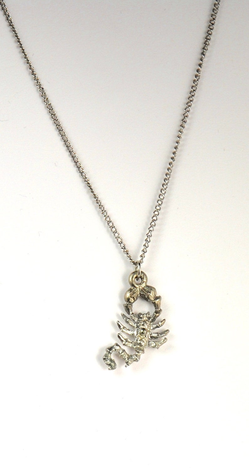 May include: A silver chain necklace with a silver scorpion pendant.