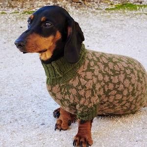 Dachshund camo shirt shop