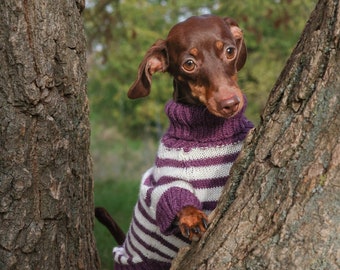Teckel kleding - Franse Bretonse gestreepte Marine - teckel trui - hondenkleding - hondentrui - hondenjas - hondenkostuum -hond winterkleren