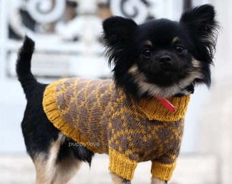 gucci hoodie for dogs