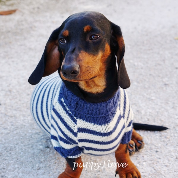 Vêtements de teckel - Français Breton rayé Marine - pull de teckel - vêtements de chien - pull de chien - manteau de chien -costume de chien