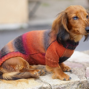 Dachshund Sweater Dog Clothes Dog clothing Dog sweater Dachshund clothes Wiener dog Dog winter clothes Winter dog sweater image 4