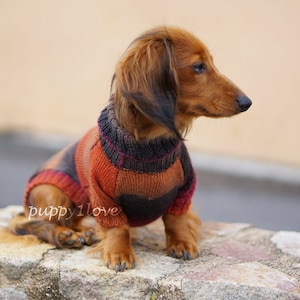 Dachshund Sweater Dog Clothes Dog clothing Dog sweater Dachshund clothes Wiener dog Dog winter clothes Winter dog sweater image 1