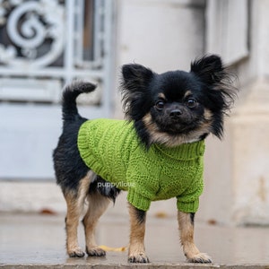 May include: A small black and brown chihuahua wearing a green knitted sweater. The dog is standing on a concrete surface.