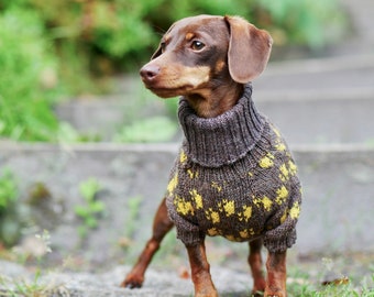 Designed dachshund  paws sweater - Wool - Dachshund Clothes - Turtleneck - For pets - Dog coat - Hand knit dog sweater - Custom Dog Clothes