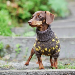 Designed dachshund  paws sweater - Wool - Dachshund Clothes - Turtleneck - For pets - Dog coat - Hand knit dog sweater - Custom Dog Clothes