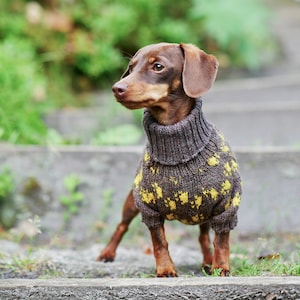 Designed dachshund  paws sweater - Wool - Dachshund Clothes - Turtleneck - For pets - Dog coat - Hand knit dog sweater - Custom Dog Clothes