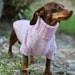 see more listings in the Dog sweaters section