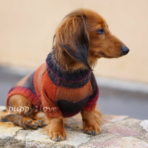 monogrammed dog sweaters