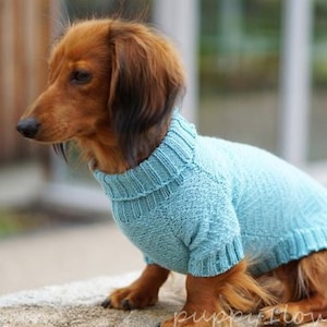 Vêtements pour teckel - Pull pour teckel - Vêtements pour chien - Pull pour chien - Chien de race Wiener - Chien saucisse - Vêtements d&#39;hiver pour chien - Pull d&#39;hiver pour chien