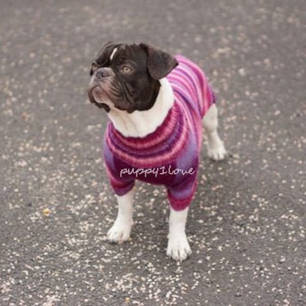 Toutes les races - Vêtements pour bouledogue français - Pull pour chien en tricot - Chien de taille moyenne - Bulldog anglais - Carlin - Mode pour chien - Vêtements pour chien personnalisés