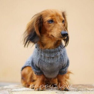 Dog sweater - Dachshund clothes - Dog Clothes - Dog coat - Dog Jacket - Clothes for pets - Dog outfit- Custom dog sweater- Warm Dog Clothes