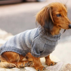 May include: A small brown and tan dachshund wearing a gray and white striped sweater. The dog is sitting on a stone wall.